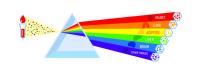 Extracellular vesicles prism